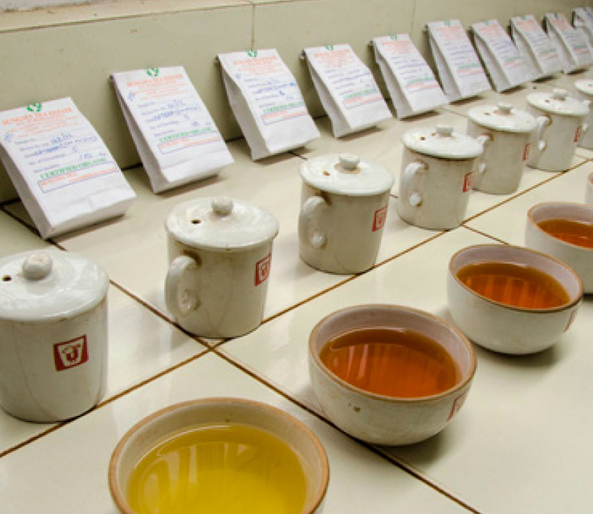 米其林餐廳和五星級飯店選用的頂級茶葉品牌